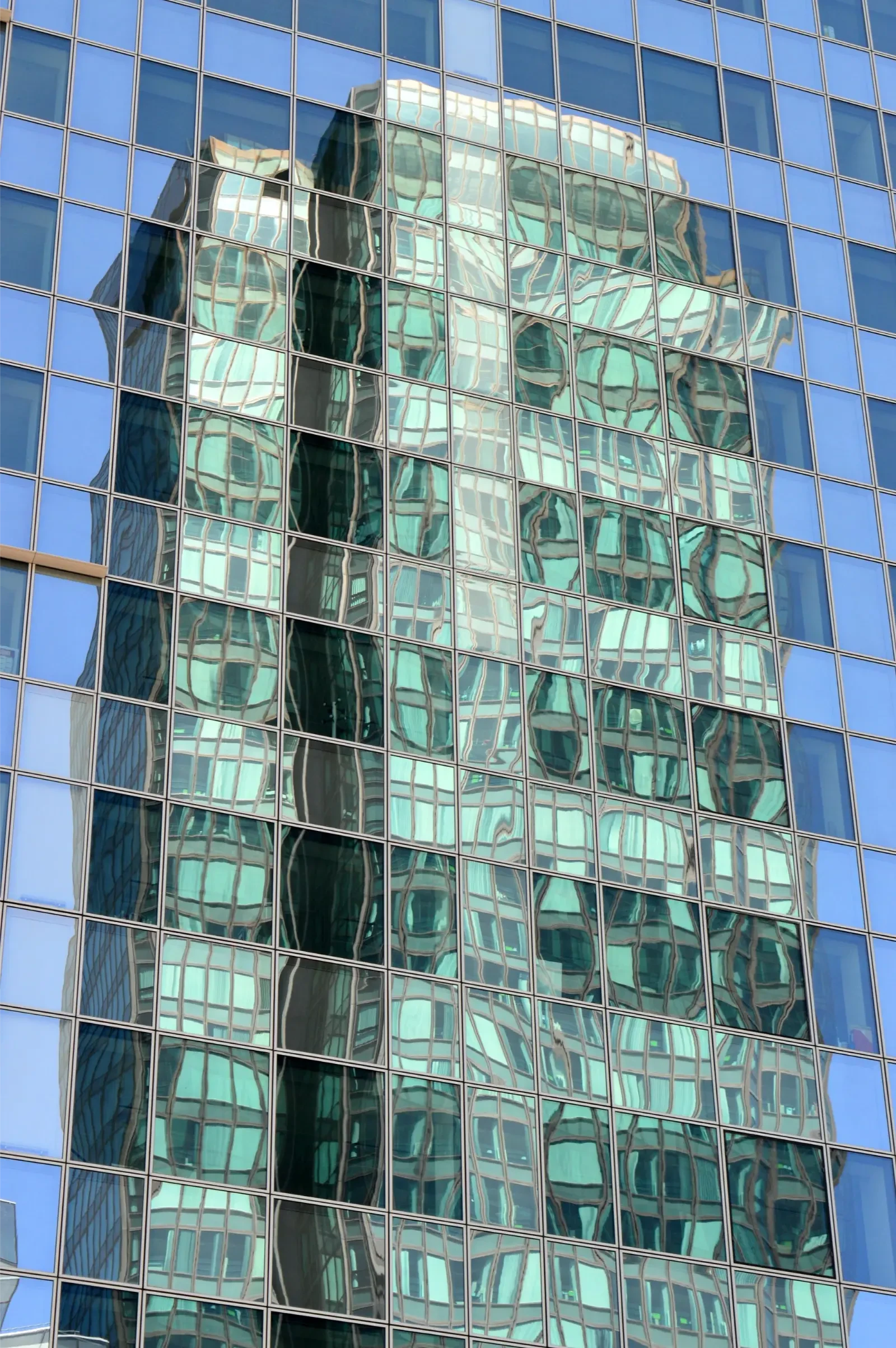 Discover Our Curtain Wall Facts